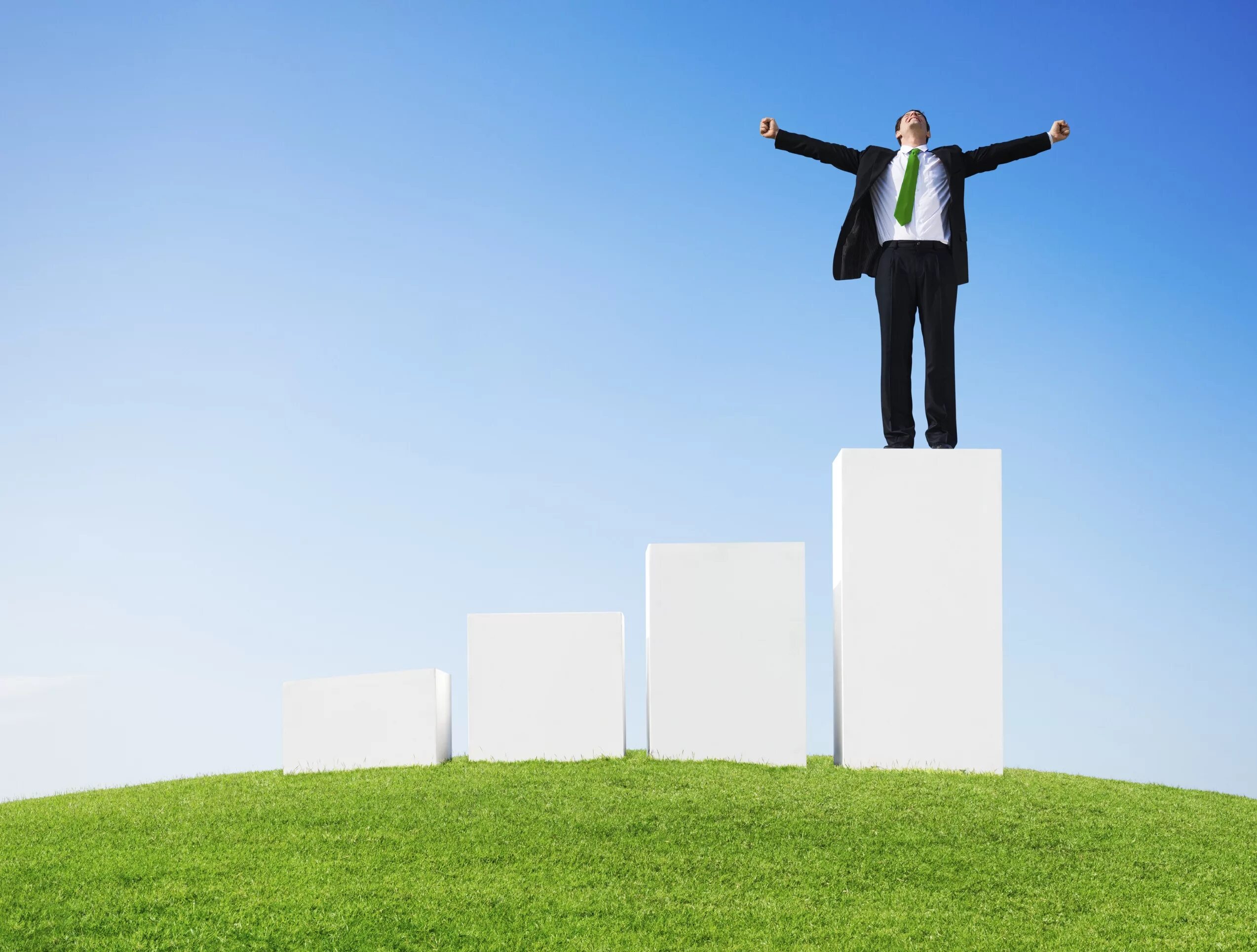 Send success. Картина success. успех вертикальная. успех success. навстречу успеху.