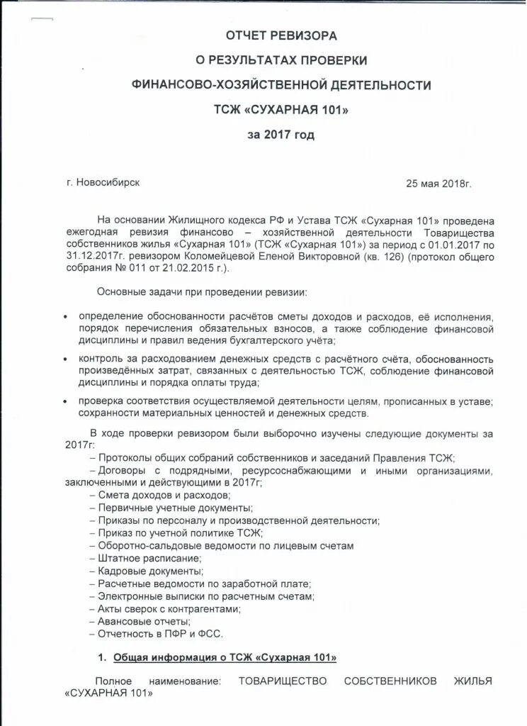 Отчет ревизора образец