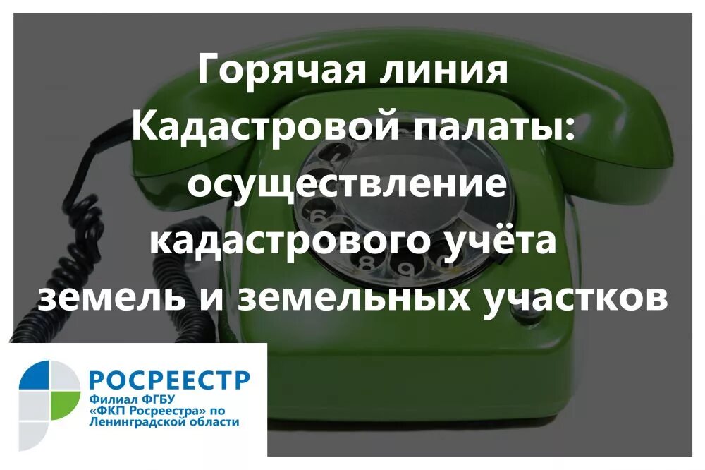 Телефон кадастровой палаты области. Горячая линия кадастровой палаты. Горячая линия кадастровой палаты картинка. Горячая линия роскадастр. Горячая линия Росреестра картинки.