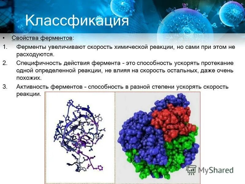 Ферменты регулируют реакции. Ферменты. Ферменты ускоряют химические реакции. Ферменты человеческого организма. Ферментативные реакции ферменты.