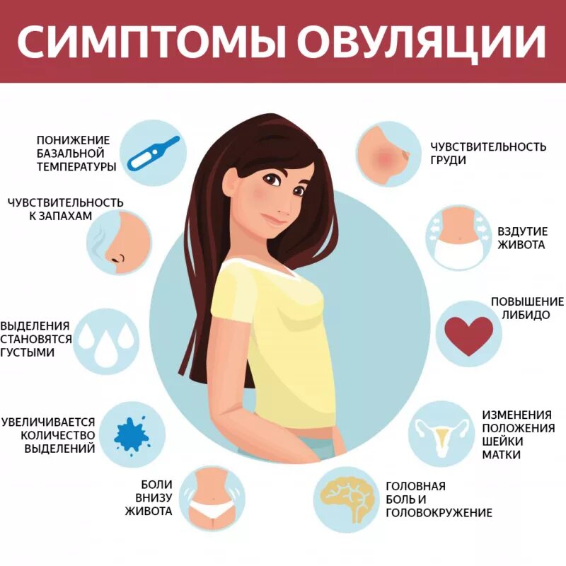 Признаки овуляции у женщины. Симптомы овуляции у женщин. Признаперед месячными. Овуляция симптомы признаки