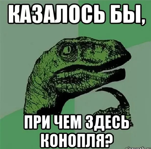 Причем здесь время. Причём здесь мем. казалось бы мем. я здесь не причем. причем здесь я.