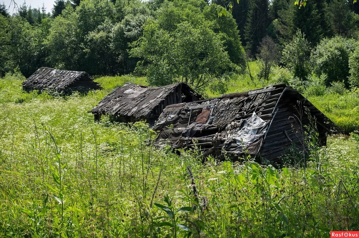 Погибающие деревни россии. Заброшеные деревни Урала. Вымирающие деревни Смоленщины. Русские заброшенные деревни в России. Заброшенные деревни Сибири.