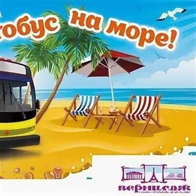 автобус для путешествий. фольксваген транспортер машина для серферов. экскурсионный автобус на фоне природы. автобусный тур к морю. автобусом к морю.