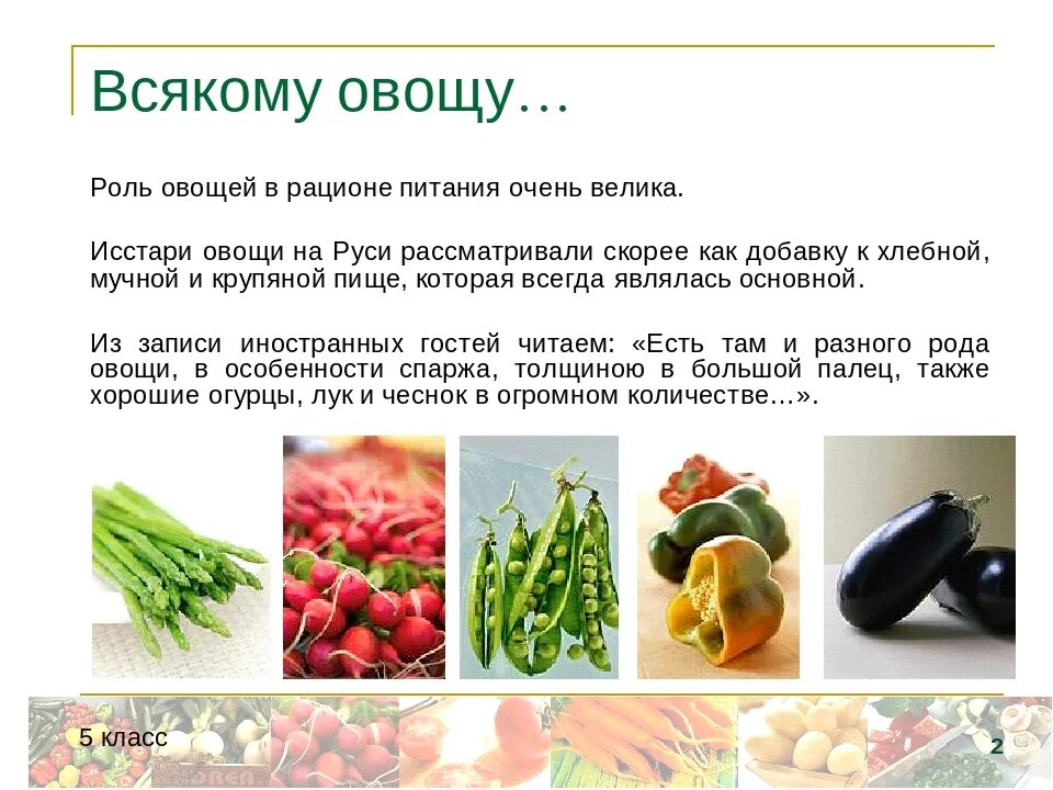 Роль овощей. Роль овощей в рационе питания. Овощи в питании человека. Полезные овощи для человека. Значение овощей в питании