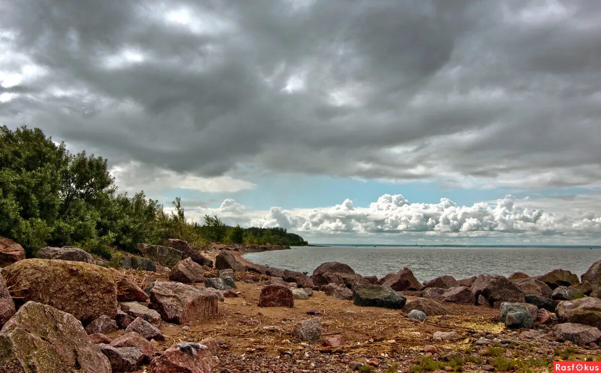 посёлок лисий нос ленинградская область. лисий нос финский залив пляж. старый пляж лисий нос. лисий нос пляж. пляж морские дубки лисий нос.