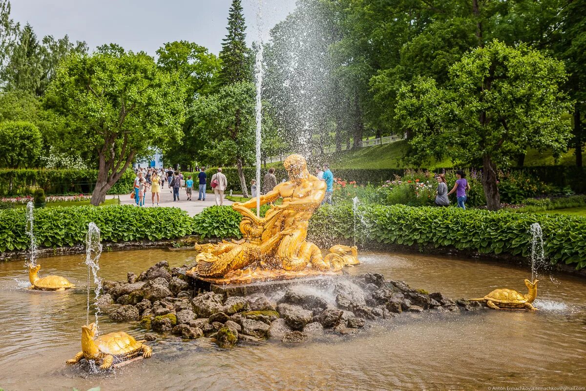 Фонтан старейшина в петергофе. Петергоф нижний парк фонтаны. фонтаны нижнего сада в петергофе. фонтаны в нижнем парке петергофа. петергоф сады с фонтанами.