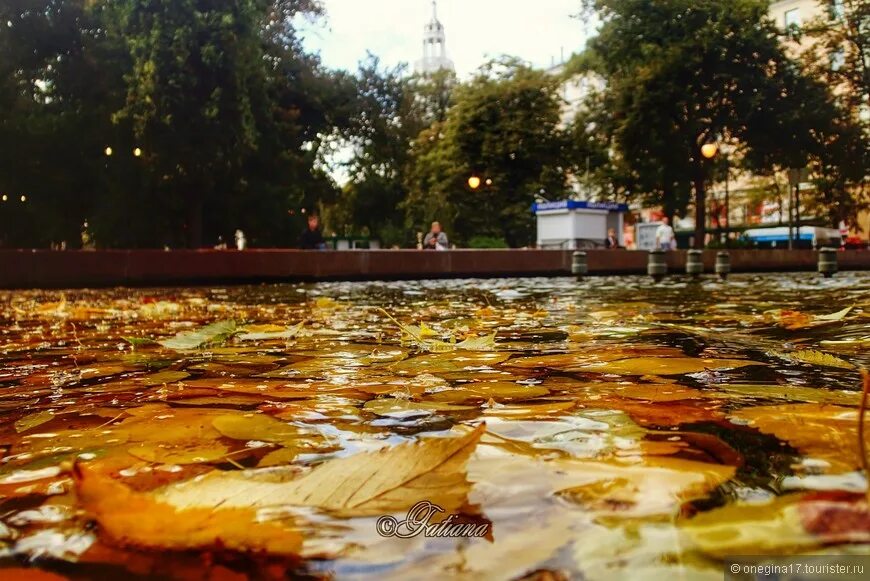 Воронеж осенью фото - ViktoriaFoto.ru