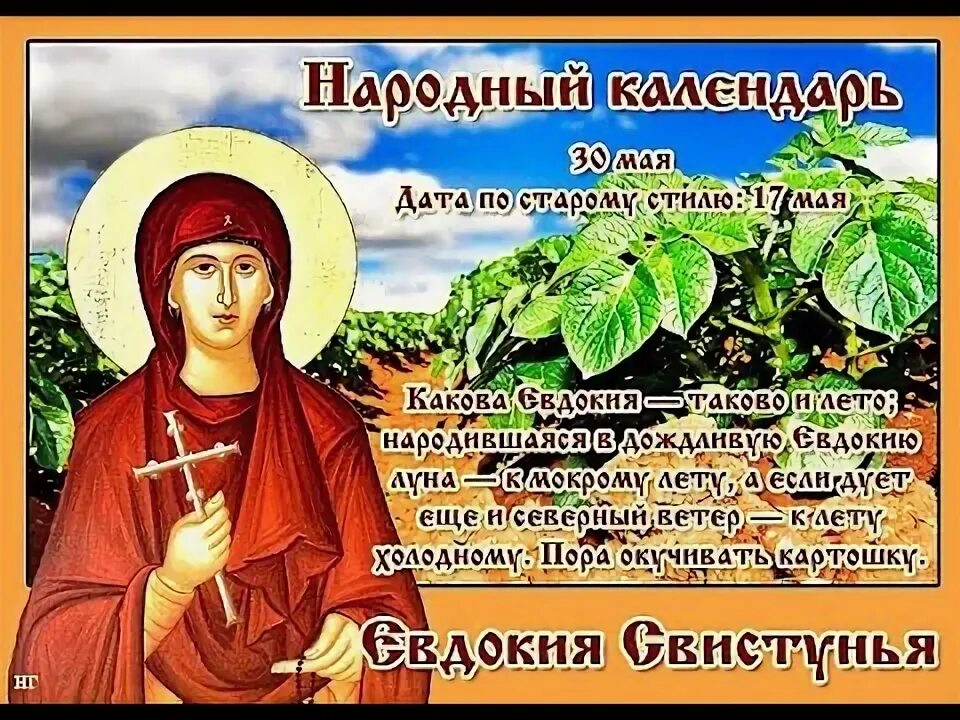 Евдокия именины по православному календарю Авдотья Плющиха (Свистунья), День святой Евдокии 14 марта 2018 года: что это за