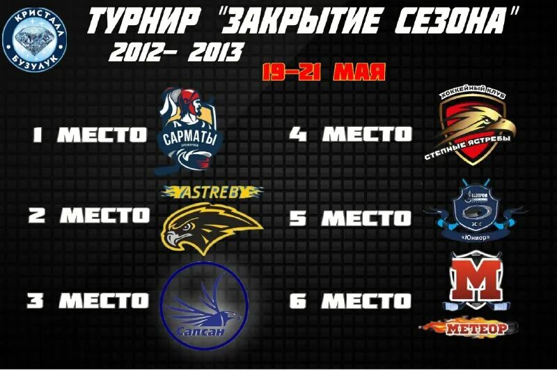 степной ястреб. хоккейная команда бобров 2011. промоушны мма логотипы. степные ястребы бузулук. степные ястребы бузулук.