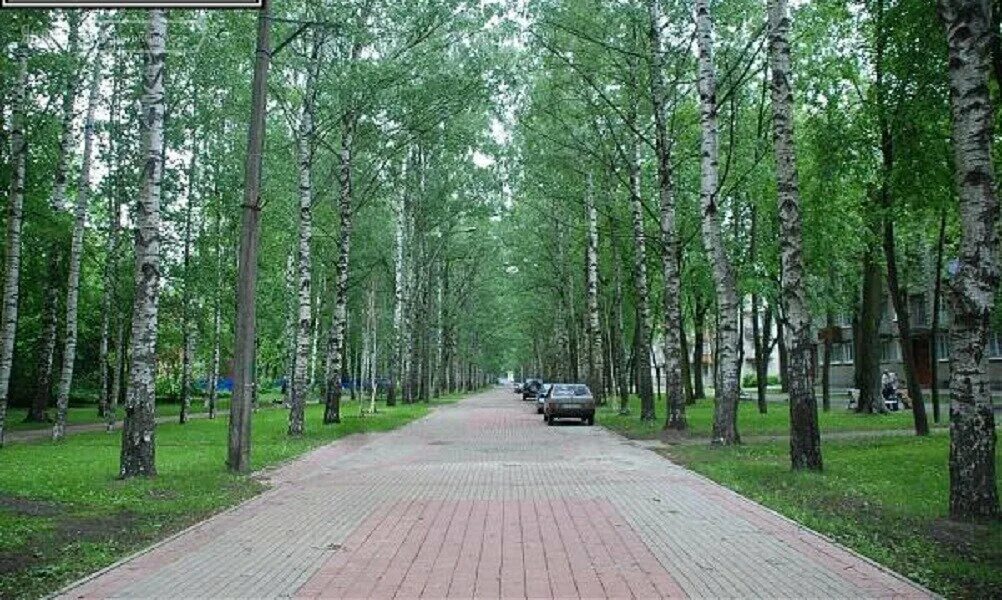 павловск, березовая ул. березовая аллея 25 павловск. березовая улица санкт петербург. павловск березовая аллея 8. березовая улица санкт петербург.