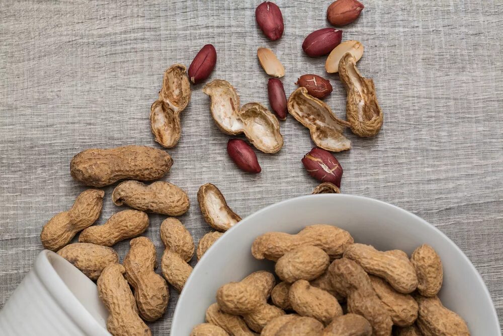 Арахис пищевая. Орехи арахис аллергенные. Арахис Боб.