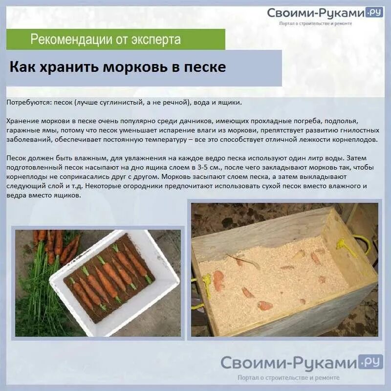 Как сохранить свеклу без погреба на зиму