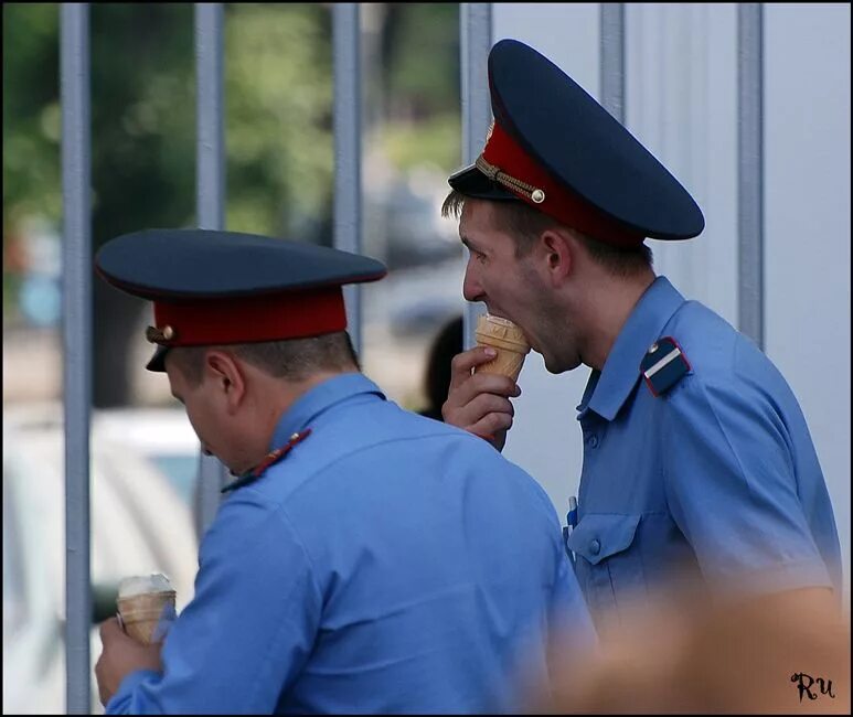 Играют в карты на мента. Фото мента.