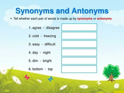 Other synonyms