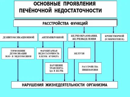 Симптомы печеночной недостаточности
