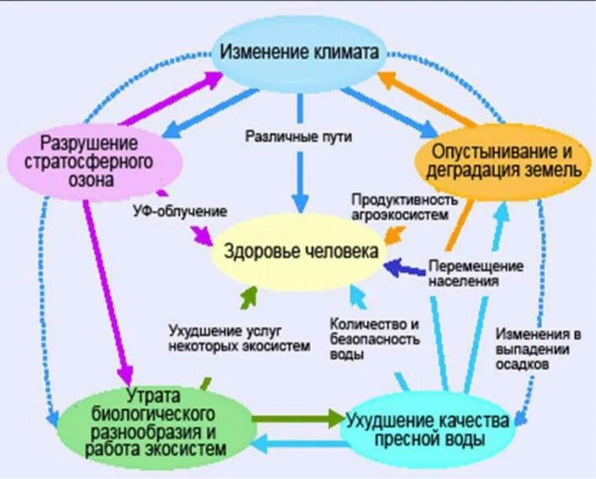 Качество окружающей среды и здоровье человека. Взаимосвязь состояния окружающей среды и здоровья человека. Взаимосвязь человека и климата. Взаимосвязь экологии и здоровья человека. Схема экологической взаимосвязи человека и окружающей среды.