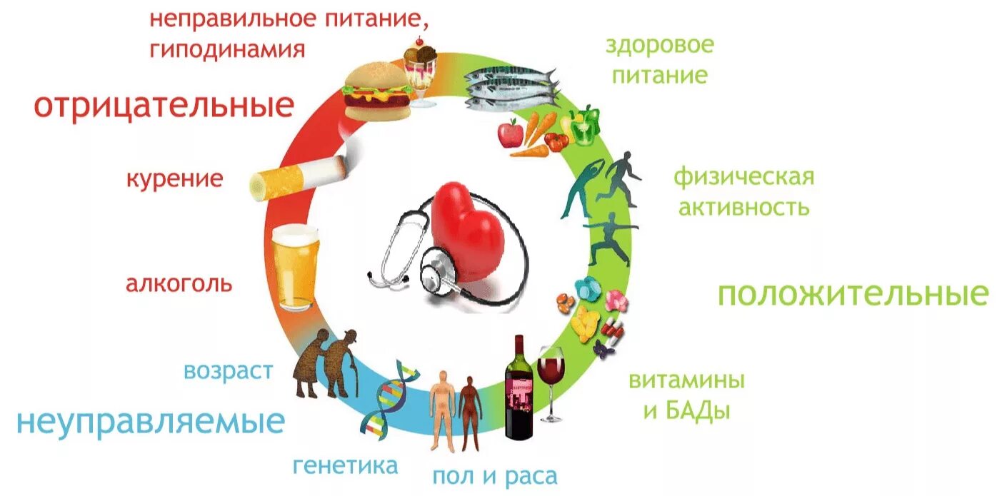 Факторы вредного питания. Факторы риска развития сердечно-сосудистых заболеваний. Каковы факторы риска сердечно-сосудистых заболеваний?. Факторы риска ССС заболеваний. Факторы риска цирроза печени.