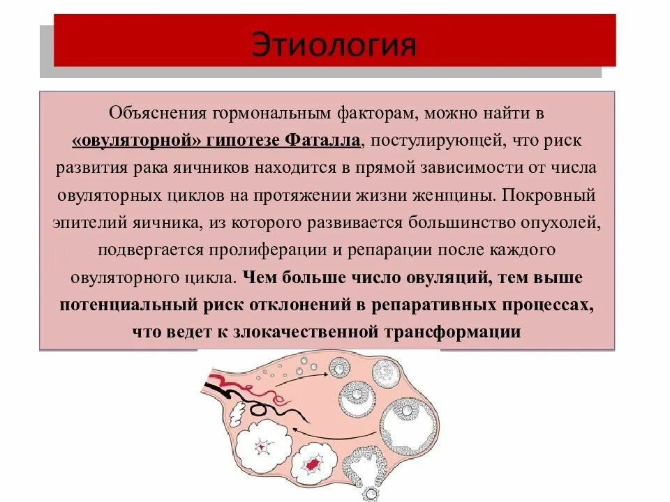 Опухоль смешанной этиологии это. Рак яичников презентация. Профилактика новообразований яичников. Рак яичников презентация. Рак яичников презентация.