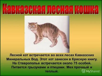 Кавказская красная книга