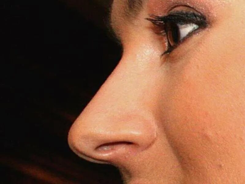 Нос женщины. Римский профиль с горбинкой. Римский нос с горбинкой. Греческий профиль нос с горбинкой. Длинный прямой нос.