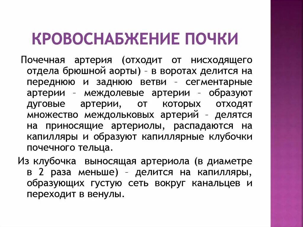 Кровоснабжение почки. Особенности кровоснабжения почек. Особенности кровообращения почек. Кровоснабжение и иннервация почек. Система кровообращения почек