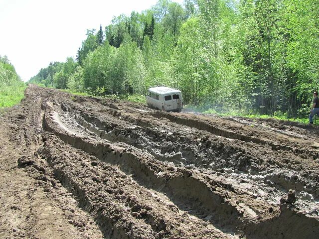 Дорога Парбиг Кедровый. Кедровый Томск. Дорога Кедровый Томск. Пудино Томск. Погода кедровый томская область на 10 дней