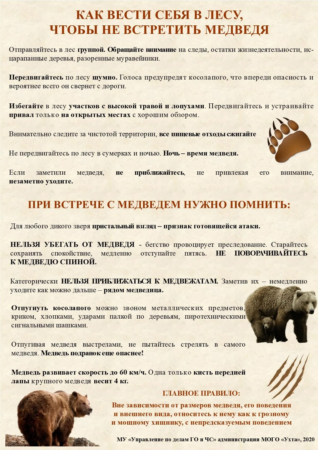 памятка дикие животные. правила поведения при встрече с дикими животными. правила поведения с дикими животными. памятка поведения при встрече с дикими животными. безопасность при встрече с дикими животными.