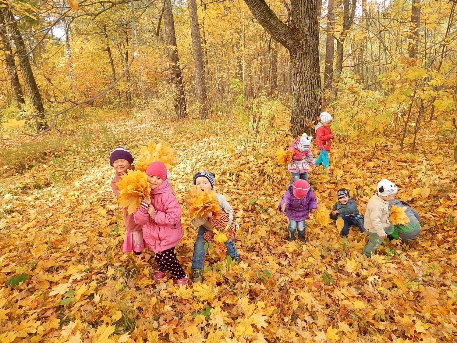 Прогулка с детьми в старшей. Осенняя прогулка. Осень для детей в детском саду. Осенние забавы. Осенняя природа для детей.