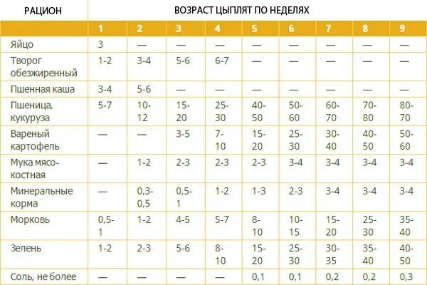 Кормление цыплят несушек с первых дней. Нормы кормления цыплят яичных пород таблицы. Таблица корма цыплят несушек. Вскармливание бройлерных цыплят кормом таблица. Таблица кормления цыплят несушек в домашних условиях.