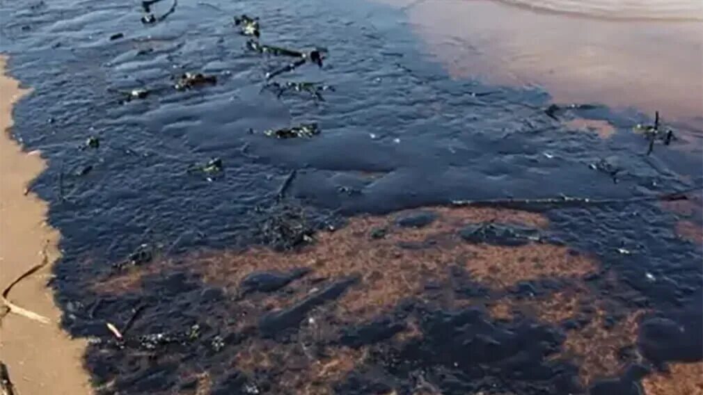 Разлив мазута в черном море как произошло. Разлив нефти новороссийск август 2025. разлив нефти под новороссийском 2025. разлив нефти в черном море 2025. разлив нефти в новороссийске 2025.