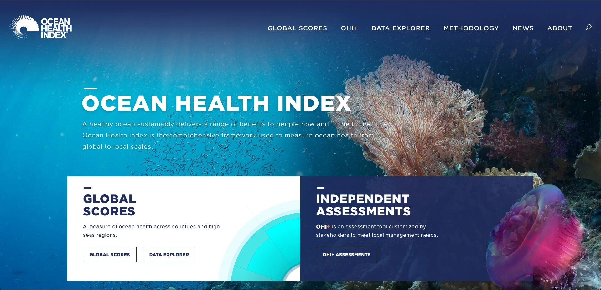 Health index. Ocean Health. Ocean site Design. GLOBALSCORE работа. Oceans and Human Health.