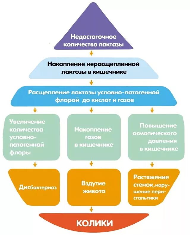 Как выявить непереносимость лактозы. Лактозная недостаточность. лактазное недостаточность. лактазная недостаточность у детей. непереносимость лактозы симптомы.