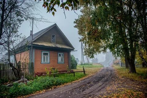 Зеленый тверская область