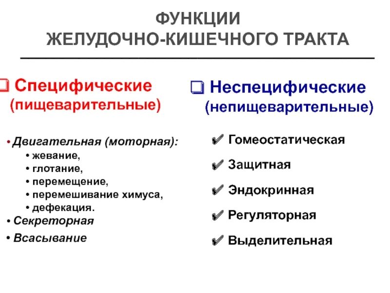 К специфическим функциям относятся. Какие функции выполняет ЖКТ. Специфическая функция желудка. Функции желудочно-кишечного тракта. Перечислите функции желудочно-кишечного тракта.