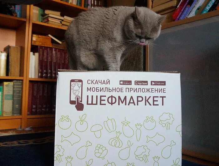 Тратим деньги которых нет. Тратим деньги которых нет