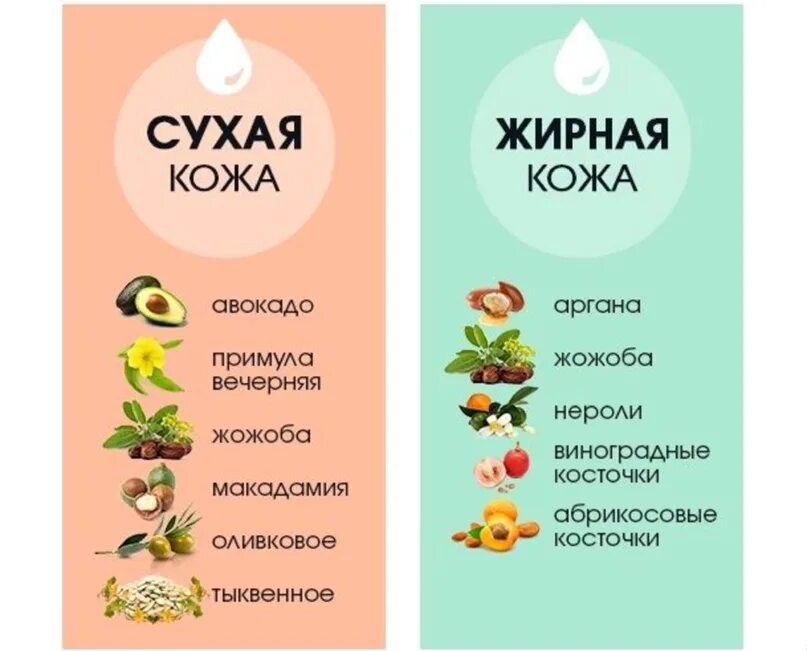 Масла по типу кожи. Полезные советы для кожи лица. Продукты для кожи лица. Продукты для красоты лица. Какое масло подходит для лица