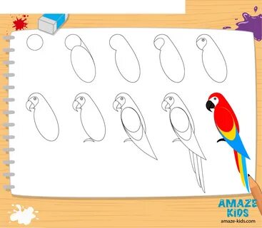 Как нарисовать попугая Ара - Все о тату