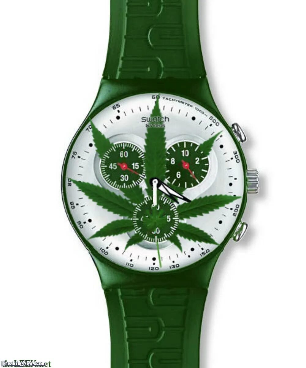 Swatch в санкт петербурге. Swatch часы iv10. наручные часы с коноплей. часы марихуана. часы с изображением конопли.
