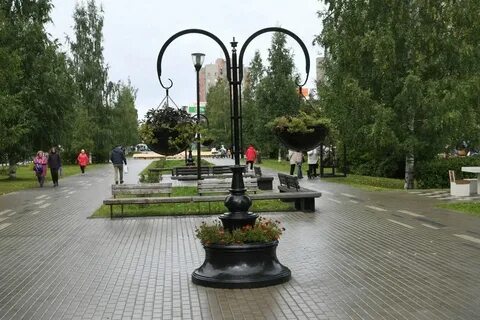 Аллеи петрозаводска