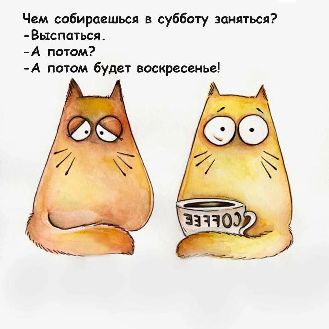 Завтра утром работаешь