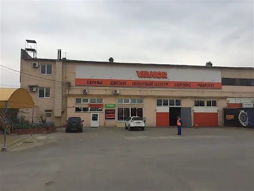 Геншин логотип. Шинасу волжский. Шина су волжский. Шинасу волжский. Геншин логотип.