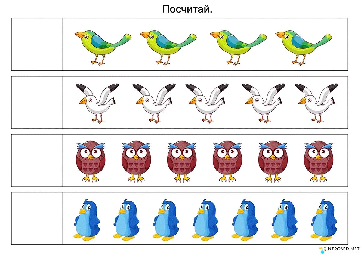 Раздаточный материал старшая группа. Сосчитай птиц. Математика с птицами для дошкольников. Тематическое занятие птицы. Задания для дошкольников счет птиц.