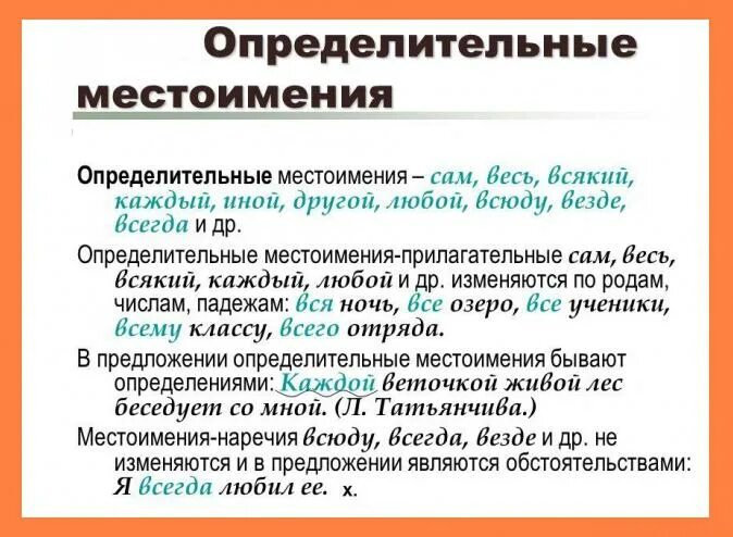 Слово ничего это местоимение. Определительные местоимения в русском. Определительные местоименияв русском я. Опропределительные местоимения в русском языке. Определитпельные местом.