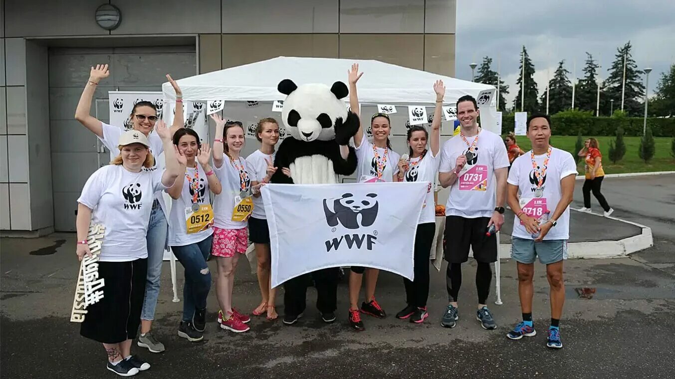 Всемирный фонд дикой природы WWF России. Организация WWF. WWF волонтеры.