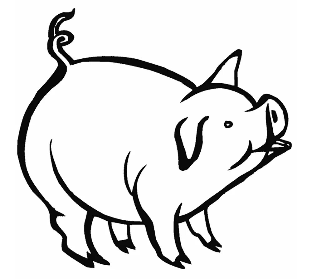Pig coloring