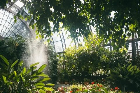 Теплицы санкт петербург