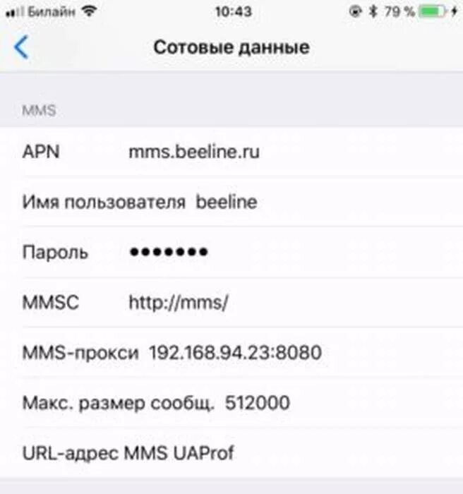 Почему не отправляется ммс. Сотовая сеть передачи данных на iphone Билайн. Apn Beeline Сотовые данные. Настройки ММС Билайн. Настройки mms Билайн iphone.