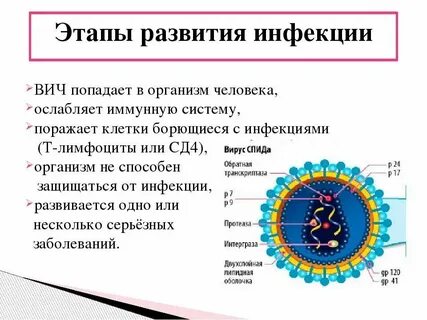 Вирус иммунодефицита поражает в организме