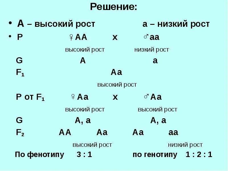 Количество возможных генотипов при скрещивании аа аа. АА АА скрещивание. Задачи на моногибридное скрещивание гороха. Задачи на моногибридное скрещивание с решением. Задачи по генетике на моногибридное скрещивание.